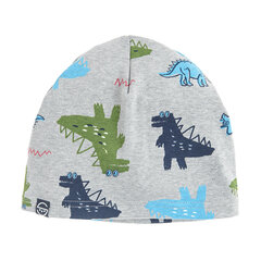 Cool Club шапочка для мальчиков, CAB2531065, серая цена и информация | Шапки, перчатки, шарфы для мальчиков | pigu.lt