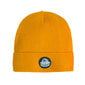 Cool Club kepurė berniukams CAB2531166, geltona kaina ir informacija | Aksesuarai vaikams | pigu.lt