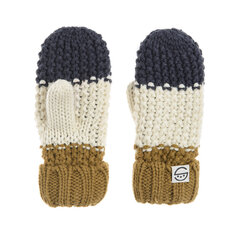 Cool Club перчатки для мальчиков, CAB2531433-00 цена и информация | Зимняя одежда для детей | pigu.lt