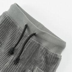 Cool Club штаны для мальчиков, CCB2500511 цена и информация | Детские брюки 62 см, черные | pigu.lt