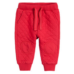 Cool Club спортивные штаны для мальчиков, CCB2503157 цена и информация | Детские брюки 62 см, черные | pigu.lt