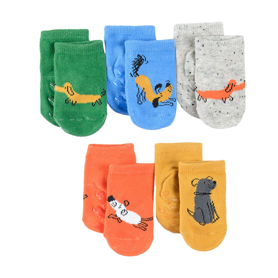 Cool Club kojinės berniukams CHB2500822-00, įvairių spalvų, 5 vnt. kaina ir informacija | Kojinės, pėdkelnės berniukams | pigu.lt
