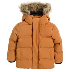 Cool Club куртка для мальчиков, COB2511489 цена и информация | Зимняя одежда для детей | pigu.lt