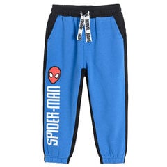 Штаны Cool Club для мальчиков Spiderman LCB2510535, синие цена и информация | Спортивные штаны для мальчиков | pigu.lt