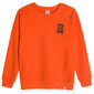 Cool Club megztinis berniukams CCB2520224, oranžinis kaina ir informacija | Megztiniai, bluzonai, švarkai berniukams | pigu.lt