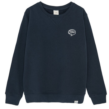 Cool Club megztinis berniukams CCB2520225, mėlynas kaina ir informacija | Megztiniai, bluzonai, švarkai berniukams | pigu.lt
