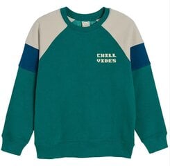 Cool Club megztinis berniukams, CCB2523454 цена и информация | Свитеры, жилетки, пиджаки для мальчиков | pigu.lt