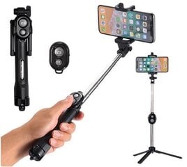 3in1 Selfie stick цена и информация | Моноподы для селфи («Selfie sticks») | pigu.lt