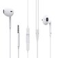 Borofone Earphones BM30 Original Series kaina ir informacija | Ausinės | pigu.lt