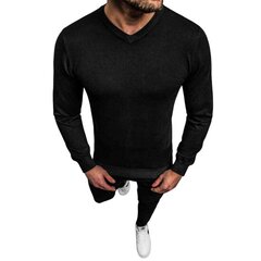Мужской джемпер Double Black цена и информация | Мужские свитера | pigu.lt