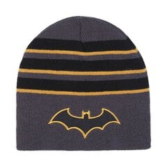 Kepurė vaikams Batman, pilka kaina ir informacija | Kepurės, pirštinės, šalikai berniukams | pigu.lt
