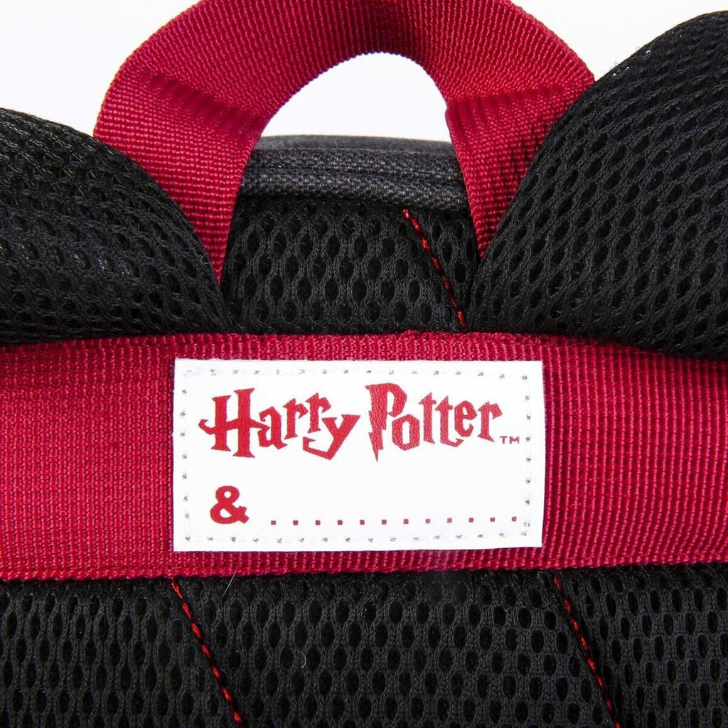 Vaikiškas krepšys Harry Potter Juoda (10 x 15,5 x 30 cm) цена и информация | Kuprinės mokyklai, sportiniai maišeliai | pigu.lt