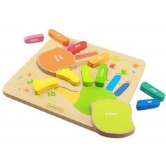 Medinė dėlionė Masterkidz - rankos kaina ir informacija | Žaislai kūdikiams | pigu.lt
