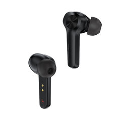 Acefast In-Ear TWS Bluetooth 5.0 T4 Black kaina ir informacija | Ausinės | pigu.lt