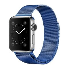 Magnetic Watch Strap Blue kaina ir informacija | Išmaniųjų laikrodžių ir apyrankių priedai | pigu.lt