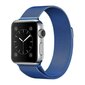 Magnetic Watch Strap Blue цена и информация | Išmaniųjų laikrodžių ir apyrankių priedai | pigu.lt