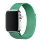 Magnetic Watch Strap Green цена и информация | Išmaniųjų laikrodžių ir apyrankių priedai | pigu.lt