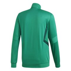 HOODIE ADIDAS PERFORMANCE TIRO19 TR JKT DW4794 цена и информация | Мужские толстовки | pigu.lt