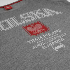 T-SHIRT MONOTOX POLSKA COLLEGE W GREY W-TS-02TP-01 цена и информация | Мужские футболки | pigu.lt