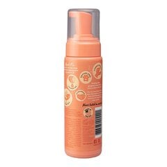 Очищающая пенка Pet Head Quick Fix Пёс Персик (200 ml) цена и информация | Косметические средства для животных | pigu.lt