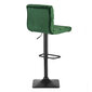 Baro kėdė su atlošu, žalia kaina ir informacija | Virtuvės ir valgomojo kėdės | pigu.lt