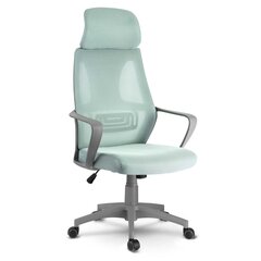 Biuro kėdė su mikro tinkleliu, šviesiai mėlyna kaina ir informacija | Biuro kėdės | pigu.lt