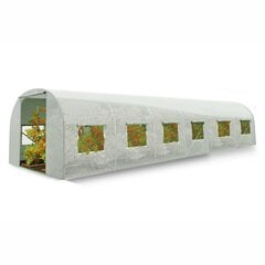 Садовый туннель - теплица, 3х6м (18м2), белый цена и информация | Теплицы | pigu.lt