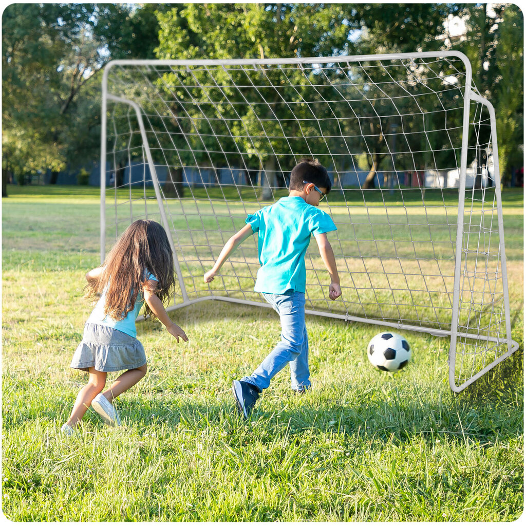 Futbolo vartai, 215x153 cm цена и информация | Futbolo vartai ir tinklai | pigu.lt