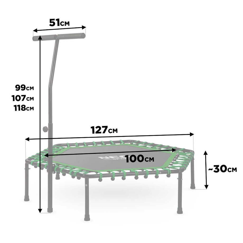 Sportinis batutas, 127 cm, žalias kaina ir informacija | Sportiniai batutai | pigu.lt