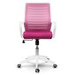 Biuro kėdė su mikro tinkleliu, Pink balta ir rožinė kaina ir informacija | Biuro kėdės | pigu.lt