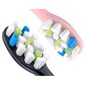 Berdsen DUO Sonic цена и информация | Elektrinių dantų šepetėlių antgaliai | pigu.lt