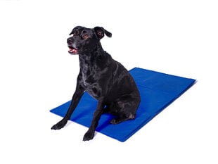 Šaldantis kilimėlis gyvūnams, mėlynas, 50x90 cm. kaina ir informacija | Guoliai, pagalvėlės | pigu.lt