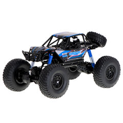 RC vikšrinis laipiojimo automobilis 1:10 4WD 48 cm mėlynas kaina ir informacija | Žaislai berniukams | pigu.lt