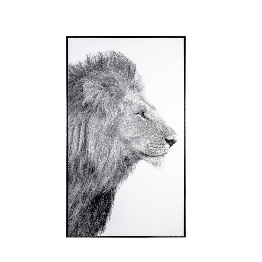 Paveikslas Lion Head 70x118cm kaina ir informacija | Reprodukcijos, paveikslai | pigu.lt