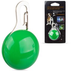 Atšvaitas šunims Lilware LED Dog, žalias цена и информация | Ошейники, подтяжки для собак | pigu.lt
