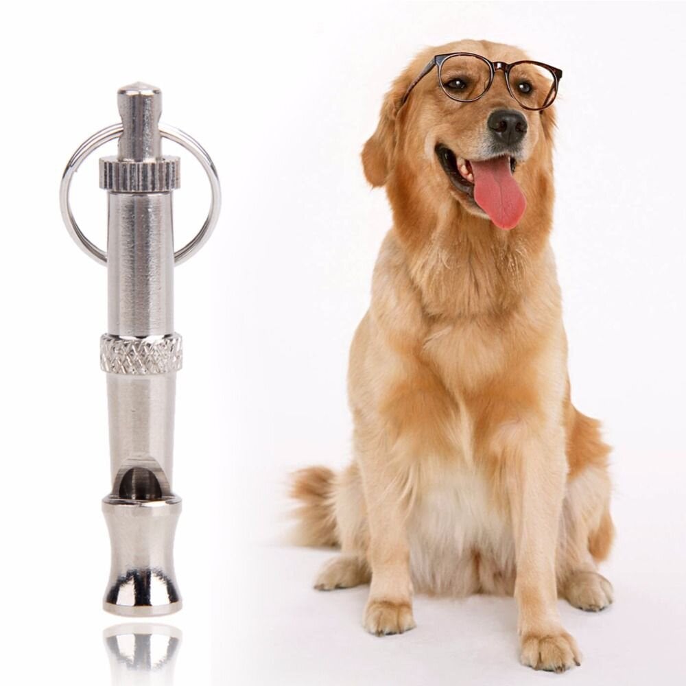 Ultragarsinis švilpukas augintiniui kaina ir informacija | Dresūros priemonės šunims | pigu.lt