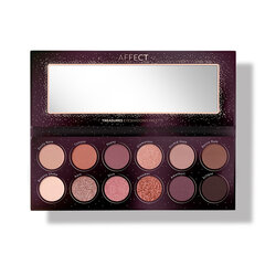 Палетка теней для век Affect Treasures Eyeshadow Palette, 12x24 г цена и информация | Тушь, средства для роста ресниц, тени для век, карандаши для глаз | pigu.lt