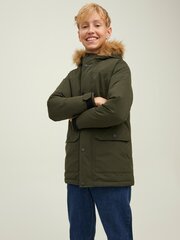 Мужская парка JACK & JONES 200 г 12212422*02, оливковая 5715311138360 цена и информация | Куртка для мальчика | pigu.lt