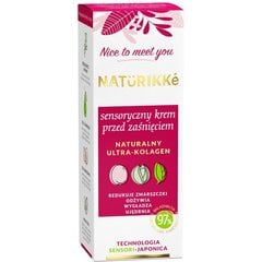 Naktinis veido kremas su kolagenu Naturikke, 50ml kaina ir informacija | Veido kremai | pigu.lt