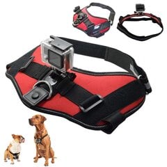 GoPro kameros laikiklis šunims ir katėms цена и информация | Сумка для фототехники Puluz | pigu.lt
