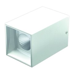 Светодиодный потолочный светильник 15Вт, 3000К, белый цена и информация | Потолочные светильники | pigu.lt