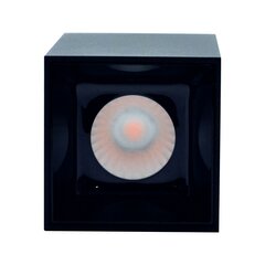Светодиодный потолочный светильник 12Вт, 3000К, черный цена и информация | Потолочные светильники | pigu.lt