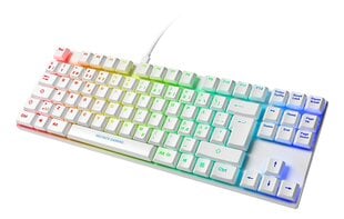 Deltaco Gaming GAM-111-W-UK RGB EN цена и информация | Клавиатуры | pigu.lt