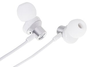 L-Brno Headphones цена и информация | Наушники | pigu.lt