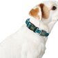 Hunter Basic šuns antkaklis, oranžinis kaina ir informacija | Antkakliai, petnešos šunims | pigu.lt