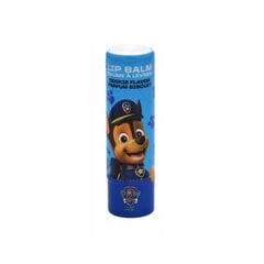 Lūpų balzamas The Paw Patrol, 5 gr kaina ir informacija | Lūpų dažai, blizgiai, balzamai, vazelinai | pigu.lt