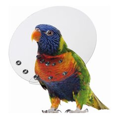 KVP Saftshield pooperacinis antkaklis paukščiams, 12-14 cm. kaina ir informacija | Priežiūros priemonės gyvūnams | pigu.lt