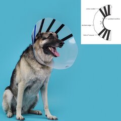 Ошейник для собак Isabelino KVP EZ Clear (25-32 cm) цена и информация | Одежда для собак | pigu.lt