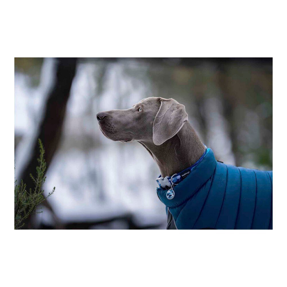 TicWatch Puffer šuns švarkas, mėlynas, 50 cm цена и информация | Drabužiai šunims | pigu.lt