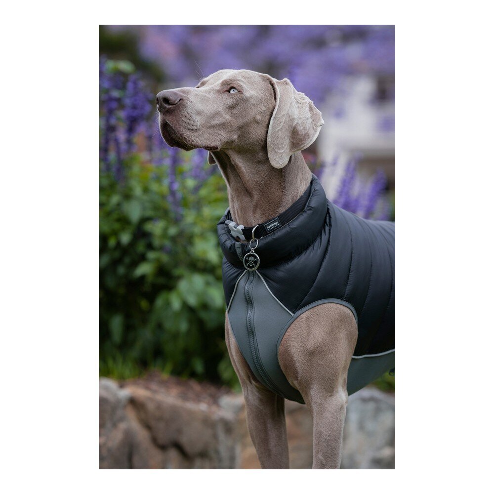 TicWatch Puffer šuns švarkas, juodas, 50 cm kaina ir informacija | Drabužiai šunims | pigu.lt
